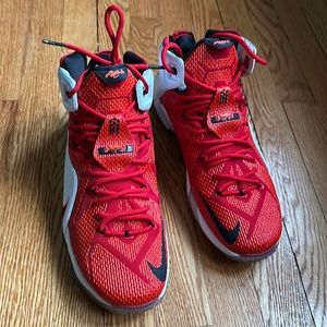 Lebron XII